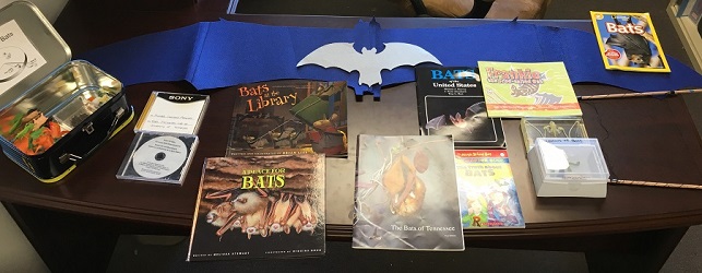 Bat box contents